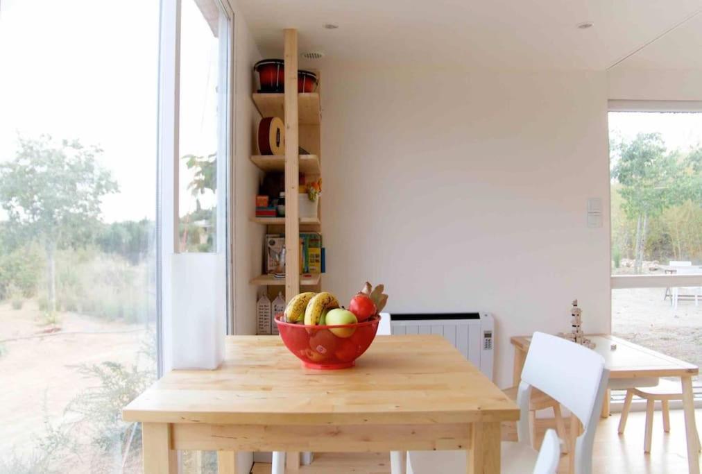 Eco Tiny Home & Office For Digital Nomads Vallmoll Esterno foto