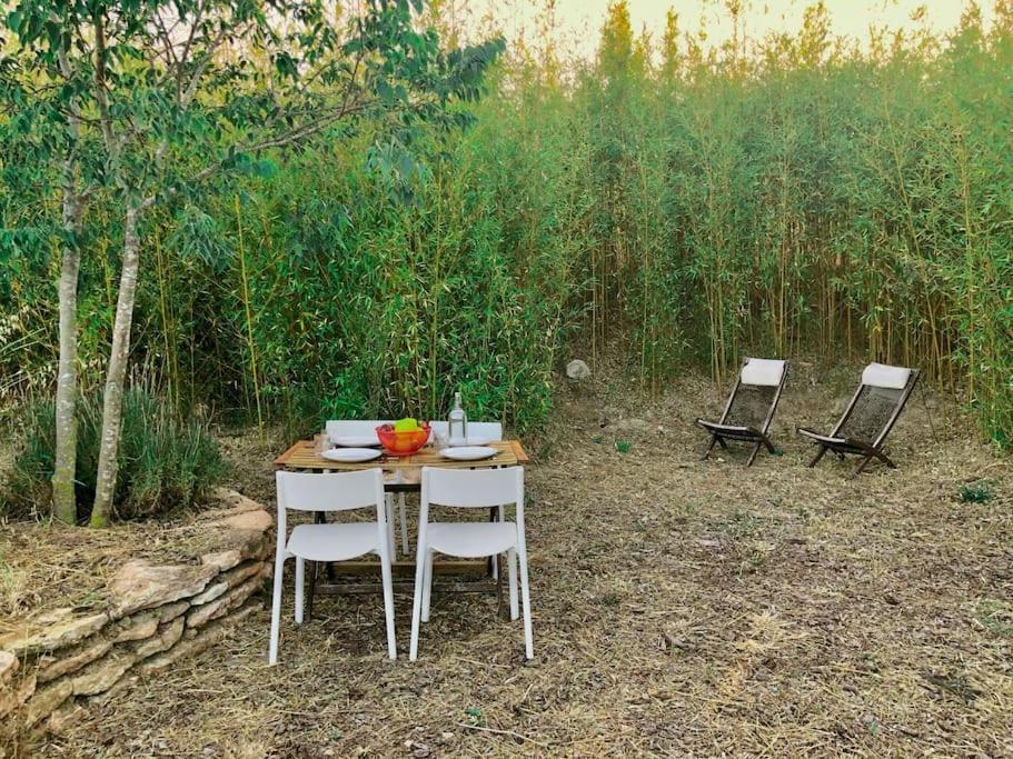 Eco Tiny Home & Office For Digital Nomads Vallmoll Esterno foto