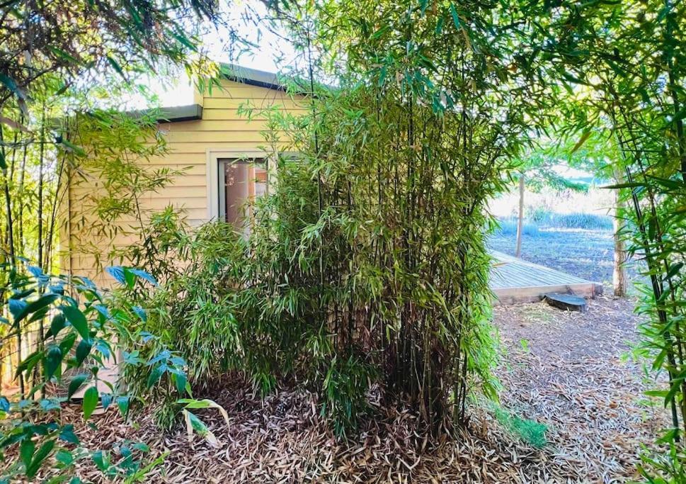 Eco Tiny Home & Office For Digital Nomads Vallmoll Esterno foto